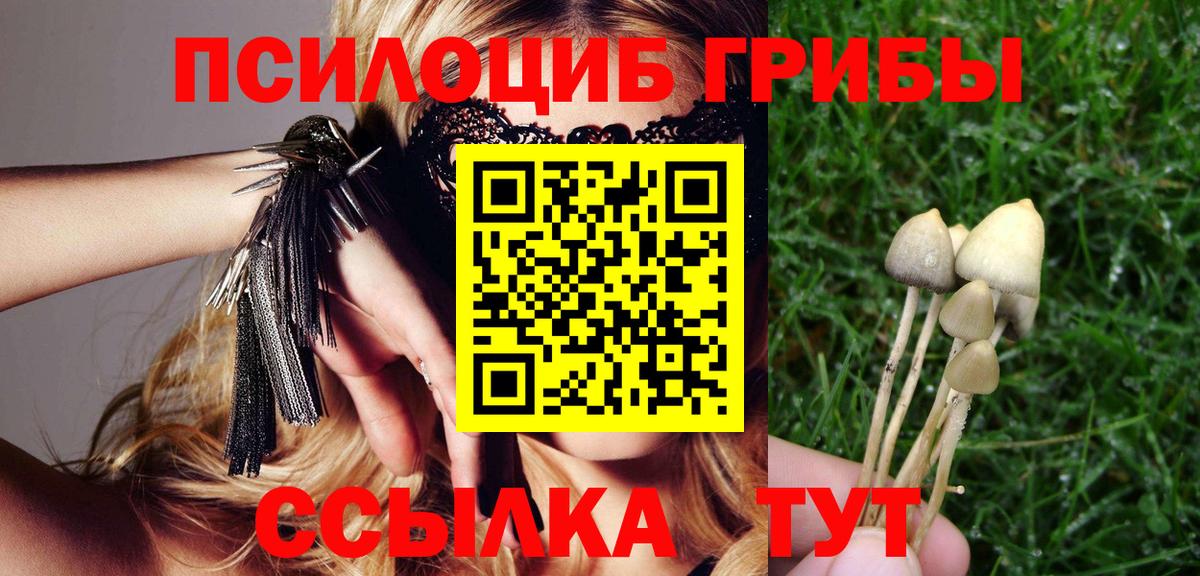 Галлюциногенные грибы мицелий  Вход с VPN  Приморско-Ахтарск 