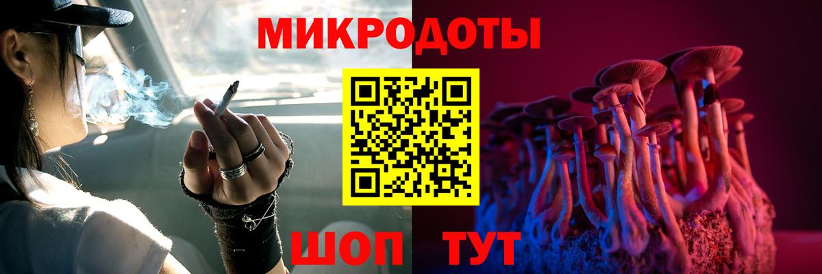 Псилоцибиновые грибы мицелий Приморско-Ахтарск